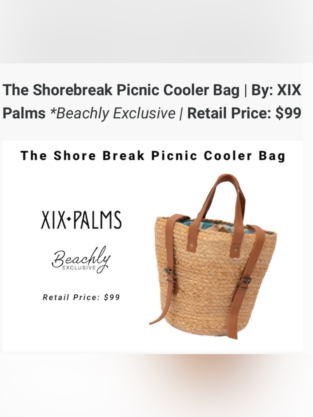 NWT XIX Palms Beachly The Shorebreak Picnic Cooler Bag